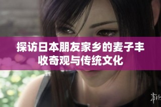 探访日本朋友家乡的麦子丰收奇观与传统文化