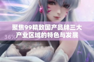 聚焦99精致国产品牌三大产业区域的特色与发展