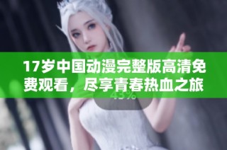 17岁中国动漫完整版高清免费观看，尽享青春热血之旅