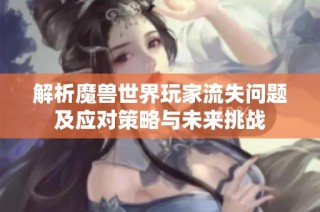 解析魔兽世界玩家流失问题及应对策略与未来挑战