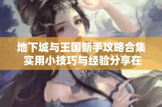 地下城与王国新手攻略合集 实用小技巧与经验分享在这里