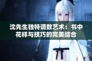 沈先生独特调数艺术：书中花样与技巧的完美结合