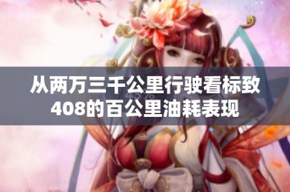 从两万三千公里行驶看标致408的百公里油耗表现