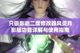 只狼影逝二度修改器风灵月影版功能详解与使用指南