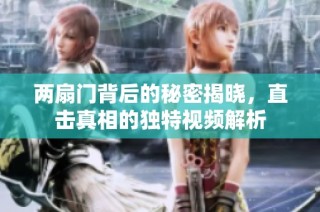 两扇门背后的秘密揭晓，直击真相的独特视频解析