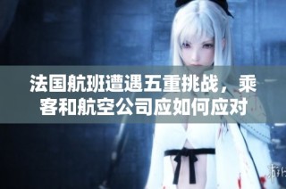 法国航班遭遇五重挑战，乘客和航空公司应如何应对