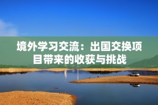 境外学习交流：出国交换项目带来的收获与挑战