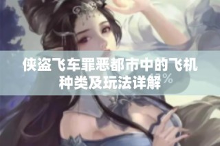 侠盗飞车罪恶都市中的飞机种类及玩法详解