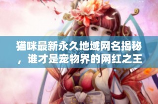 猫咪最新永久地域网名揭秘，谁才是宠物界的网红之王