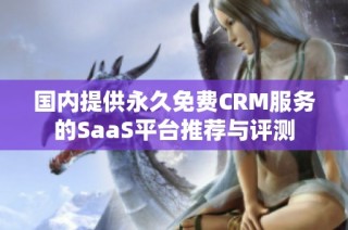 国内提供永久免费CRM服务的SaaS平台推荐与评测