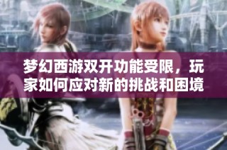 梦幻西游双开功能受限，玩家如何应对新的挑战和困境