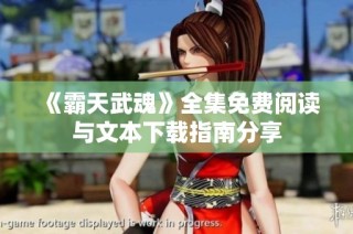 《霸天武魂》全集免费阅读与文本下载指南分享