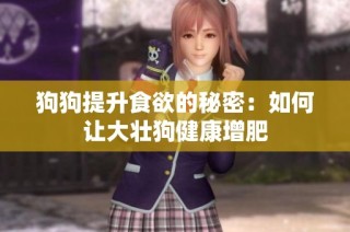 狗狗提升食欲的秘密：如何让大壮狗健康增肥