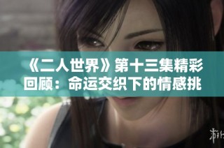 《二人世界》第十三集精彩回顾：命运交织下的情感挑战与成长