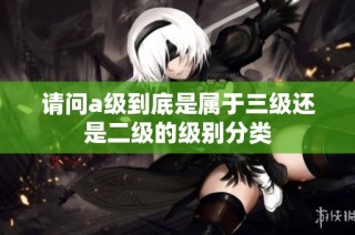请问a级到底是属于三级还是二级的级别分类