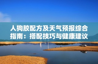 人狗胶配方及天气预报综合指南：搭配技巧与健康建议详解