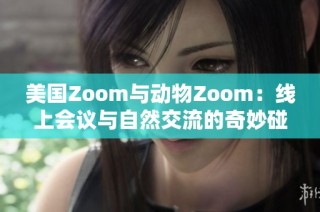 美国Zoom与动物Zoom：线上会议与自然交流的奇妙碰撞
