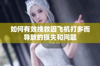 如何有效挽救因飞机打多而导致的损失和问题