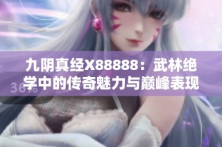 九阴真经X88888：武林绝学中的传奇魅力与巅峰表现