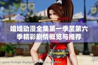 姐姐动漫全集第一季至第六季精彩剧情概览与推荐