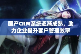 国产CRM系统逐渐成熟，助力企业提升客户管理效率