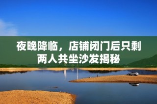 夜晚降临，店铺闭门后只剩两人共坐沙发揭秘