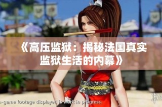 《高压监狱：揭秘法国真实监狱生活的内幕》