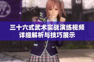 三十六式武术实战演练视频详细解析与技巧展示