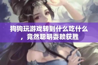 狗狗玩游戏转到什么吃什么，竟然聪明耍赖获胜