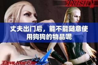 丈夫出门后，能不能随意使用狗狗的物品呢