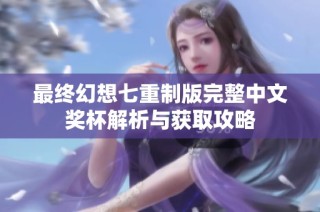 最终幻想七重制版完整中文奖杯解析与获取攻略