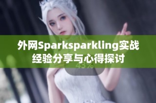 外网Sparksparkling实战经验分享与心得探讨