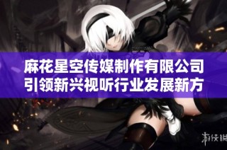 麻花星空传媒制作有限公司引领新兴视听行业发展新方向