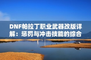 DNF帕拉丁职业武器改版详解：惩罚与冲击技能的综合伤害评测