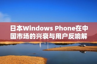 日本Windows Phone在中国市场的兴衰与用户反响解析