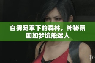白雾笼罩下的森林，神秘氛围如梦境般迷人