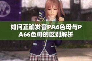 如何正确发音PA6色母与PA66色母的区别解析
