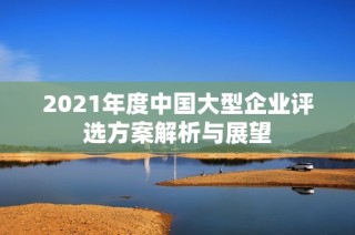 2021年度中国大型企业评选方案解析与展望