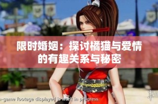 限时婚姻：探讨橘猫与爱情的有趣关系与秘密