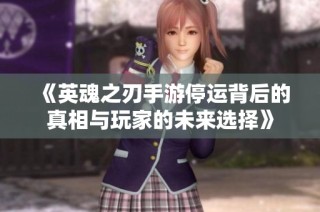 《英魂之刃手游停运背后的真相与玩家的未来选择》