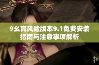 9幺高风险版本9.1免费安装指南与注意事项解析