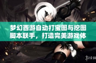 梦幻西游自动打宝图与挖图脚本联手，打造完美游戏体验