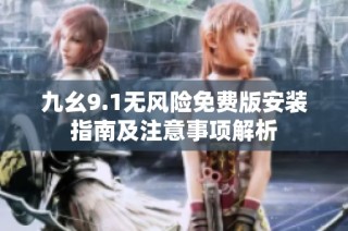 九幺9.1无风险免费版安装指南及注意事项解析