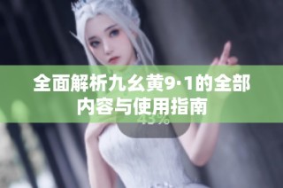 全面解析九幺黄9·1的全部内容与使用指南