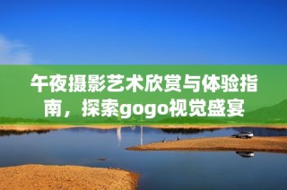 午夜摄影艺术欣赏与体验指南，探索gogo视觉盛宴