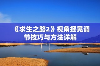 《求生之路2》视角摇晃调节技巧与方法详解