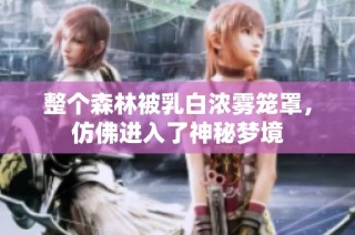 整个森林被乳白浓雾笼罩，仿佛进入了神秘梦境