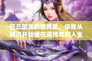 在三国杀的世界里，你我从相识开始便在演绎戏剧人生