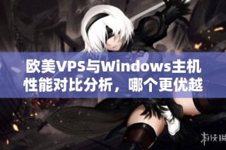 欧美VPS与Windows主机性能对比分析，哪个更优越？