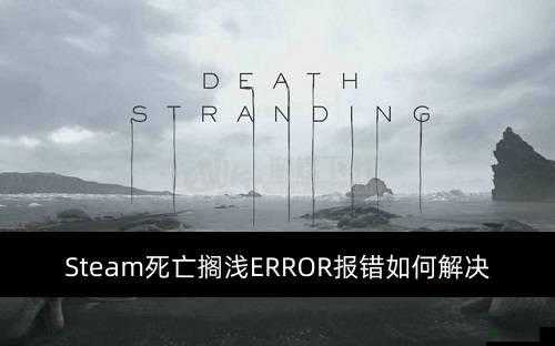 Steam 死亡搁浅游戏播片贴图错误的解决方法详细介绍及应对策略